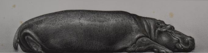 Gary Hodges (b1954) signed limited edition print Tropical Slumber (20/850) 19 x 54cm, in black