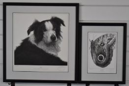 Gary Hodges (b1954) signed limited edition prints Owl Butterfly (25/850) and Jaff (223/850) border