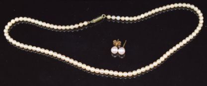A single strand of cultured pearls with 14ct gold clasp and a pair of 18ct gold Mikimoto earrings
