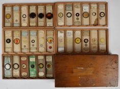 Thirty Victorian and later glass microscope slides including Watson, Bourgogne, Southall Bros and