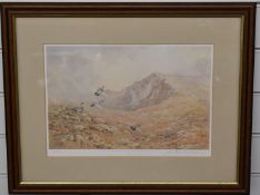 Jonathan Sainsbury limited edition 63/850 print 'Flushing Ptarmignan' signed by artist, L54 x W33cm