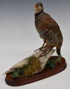 Taxidermy study of a partridge on naturalistic base and mahogany stand, H32cm