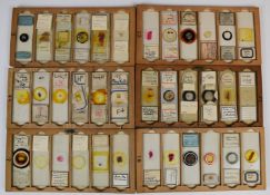 One hundred and forty eight Victorian and later glass microscope slides including Walthamstow