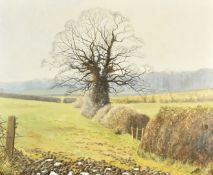 Joe Wilkes (local Gloucestershire artist) oil on canvas 'February Morning' rural landscape, signed