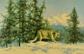 David Shepherd (1931-2017) signed limited edition 192/350 print 'Mountain Lion'  52 x 76cm, in