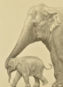 Gary Hodges (b1954) signed limited edition 404/860 print 'Mother's Love' of an elephant and calf, 43