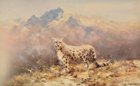David Shepherd (1931-2017) signed limited edition 941/500 print 'Lonely Vigil', snow leopard, 29 x