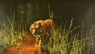 David Shepherd (1931-2017) signed limited edition 553/2000 print 'Jungle Gentleman', tiger wading