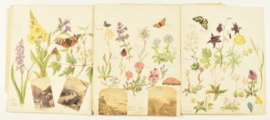 Alicia Henrietta Wedderburn, later Lady Hope (1823-1900) late 1860's album of watercolour