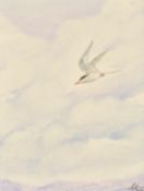 Gwen Christie watercolour 'Arctic Tern', monogramed lower right and with label verso