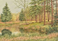 Audrey Hart watercolour 'Forest Pond-Mireystock', Forest of Dean landscape, monogrammed lower right,