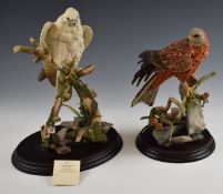 Two Country Artists bird of prey figures red kite on fern and larch cones and 'Arctic Prince',