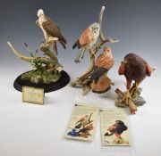 Three Country Artists bird of prey figures 'The Return', 'Harris Hawk' and 'Kestrel', in original