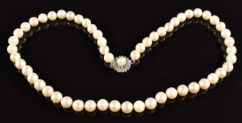 A single strand of cultured pearls with 14k white gold clasp, 31.9g, 42cm long