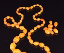A single strand of fifty Baltic amber oval beads, largest bead 17 x 25mm, 41.4g, with an