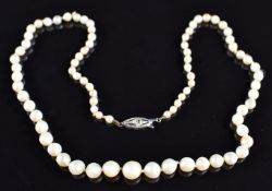 A single strand of pearls, the 9ct white gold clasp set with a rose cut diamond, 9.4g, 38cm