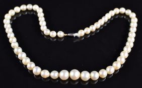 A single strand of cultured pearls with 9ct white gold clasp, in Ciro box, 26g, 38cm