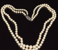 A double strand of cultured peals with silver clasp, 42cm long