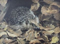 John Edwards (b 1940) oil on board hedgehog amongst autumn leaves, signed lower left, 29 x 39cm,
