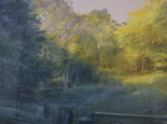 Jon Pryke RBA (b 1943) pastel 'Evening Mist' (Weston Fen, Hopton, Suffolk), signed and dated 06