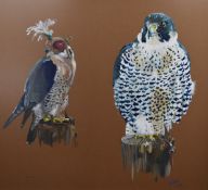 Mark Upton (b 1964) gouache study of two birds of prey, signed and dated 1986 lower right, 38 x