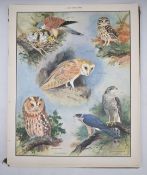 Macmillan's Nature Class pictures 1-62, in original slip case, each approximately 44 x 54cm