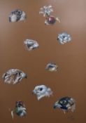 Mark Upton (b 1964) gouache study of nine birds of prey heads, signed and dated 1986 lower right, 50
