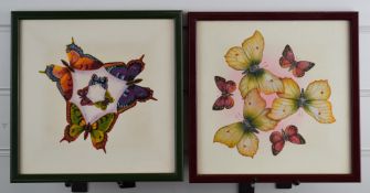 Una Woodruff (b 1951) two watercolour studies of butterflies, each 23 x 23cm