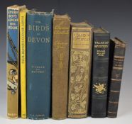 David Copperfield by Charles Dickens illustrated by William Rainey published Blackie (c.1900) in Art