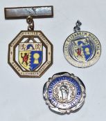 State Registered Nurse badge for Betty Longfield 176850, 30-11-50, together with her hospital badges