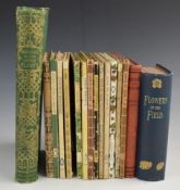 Shirley Hibberd New And Rare Beautiful-Leaved Plants with illustrations and descriptions of The Most