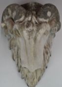 Carved stone ram's head shelf bracket / capitol, W22 x H33cm