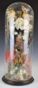 Taxidermy study of a jay, in glass dome, H54cm
