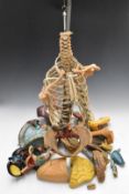 Medical instructional part representation of a skeleton with organs etc, on steel stand, height