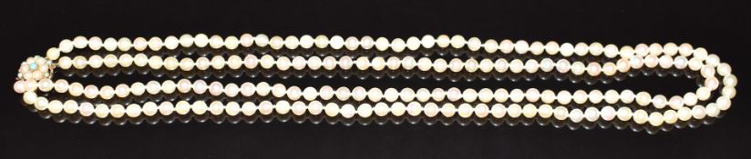 A double strand of cultured pearls, the 9ct gold clasp set with pearls and turquoise, 48.4g