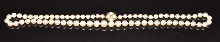 A single strand of cultured pearls, the 9ct gold clasp set with further pearls, 29g