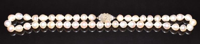 A single strand of cultured pearls, the 9ct white gold clasp set with a diamond, 44.4g