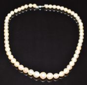 A single strand of cultured pearls with 9ct white gold clasp, in Ciro box, 26g, 38cm