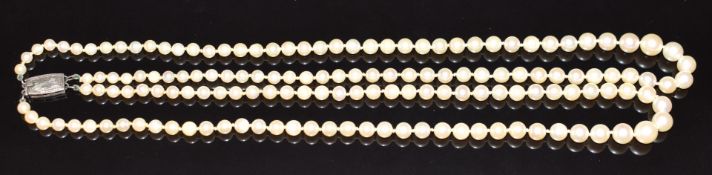 A double strand of cultured peals with silver clasp, 42cm long