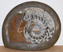 Polished stone ammonite fossil, width 33cm