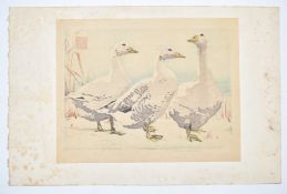 Attributed to Arthur Rigden Read (1879-1955) woodcut study of three geese 'Frosty Morning', titled