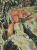 Martin Ridley watercolour of a red squirrel on a tree stump, 29 x 21cm