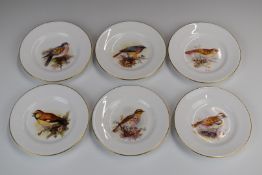 Royal Worcester set of six dishes hand decorated with birds, diameter 12cm