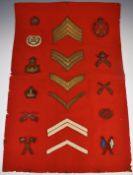 British Army Gloucestershire Regiment display of seventeen rank and proficiency badges including