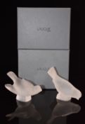 Two Lalique clear and frosted glass sparrow paperweights Sparrow Wings Out 1163300 and Sparrow