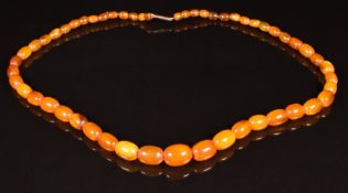 An amber necklace made up of 53 oval beads, with 9ct gold clasp. 19.3g