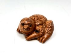 A Japanese carved hardwood netsuke : Giant Turtle.