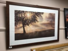 After Peter Walsh : Sunrise through trees, colour print,