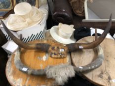 Two sets of cow horns