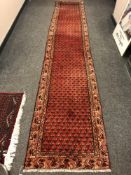 A Bidjar runner, Iranian Kurdistan,